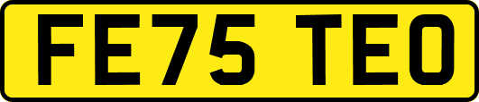 FE75TEO