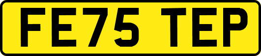 FE75TEP