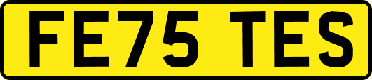 FE75TES
