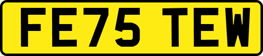 FE75TEW
