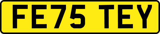 FE75TEY