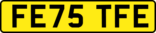 FE75TFE