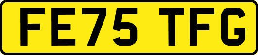 FE75TFG