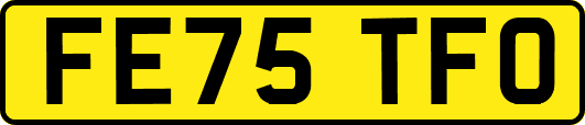 FE75TFO