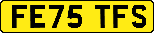 FE75TFS
