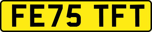 FE75TFT
