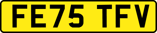 FE75TFV