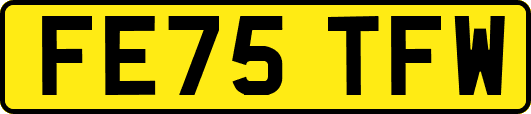 FE75TFW