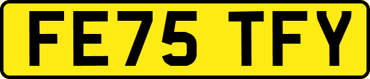 FE75TFY