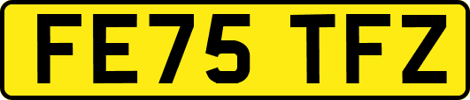 FE75TFZ