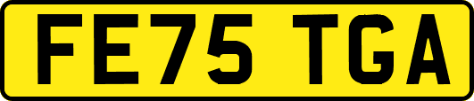 FE75TGA