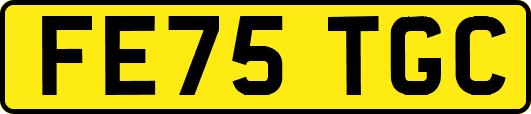 FE75TGC