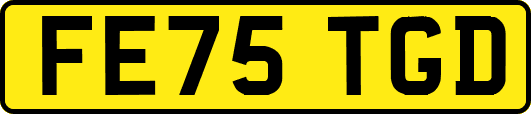 FE75TGD