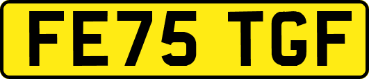 FE75TGF
