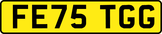 FE75TGG