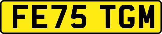 FE75TGM