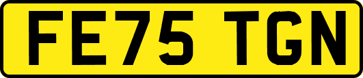FE75TGN