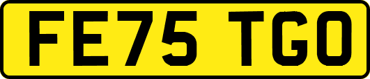 FE75TGO