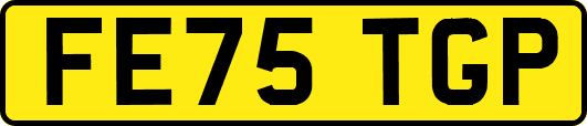 FE75TGP