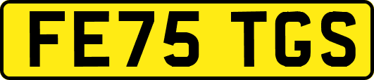 FE75TGS