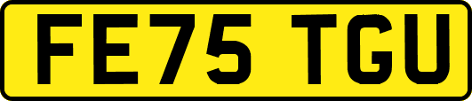 FE75TGU