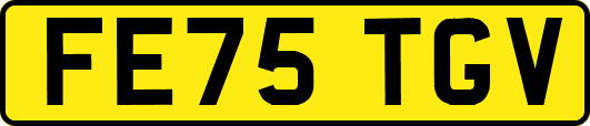 FE75TGV