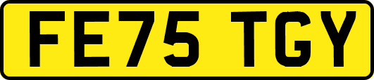FE75TGY