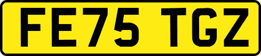 FE75TGZ