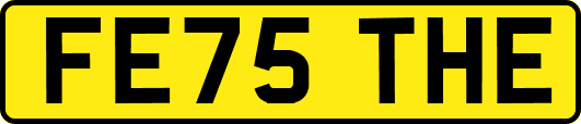 FE75THE