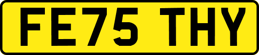 FE75THY