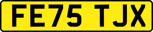 FE75TJX