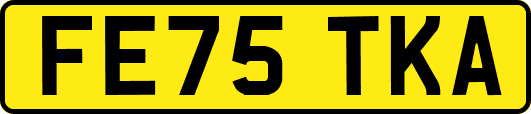 FE75TKA