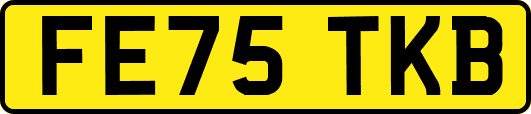 FE75TKB