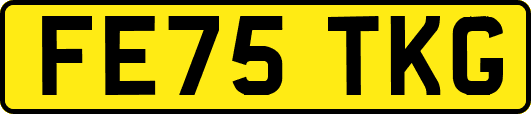 FE75TKG