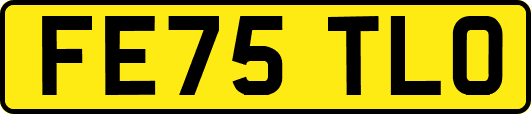 FE75TLO