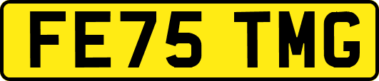 FE75TMG