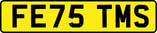 FE75TMS