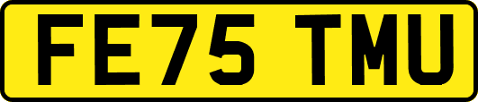 FE75TMU