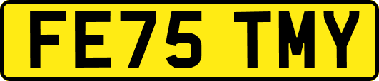 FE75TMY