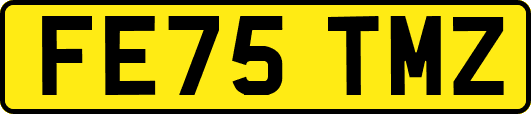 FE75TMZ