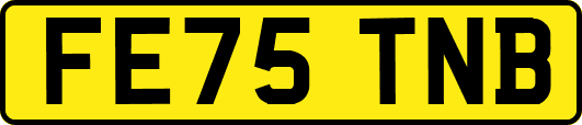FE75TNB