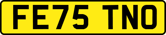 FE75TNO