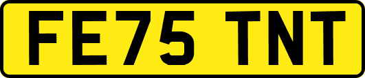FE75TNT