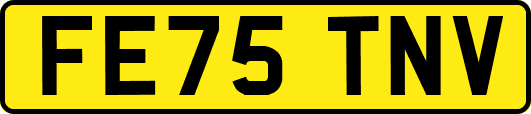 FE75TNV
