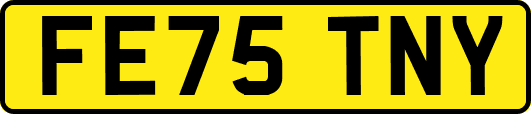 FE75TNY