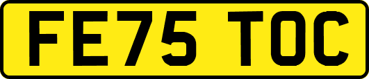 FE75TOC