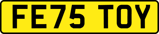 FE75TOY