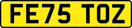 FE75TOZ