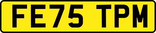 FE75TPM