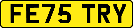 FE75TRY